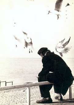 user posted image